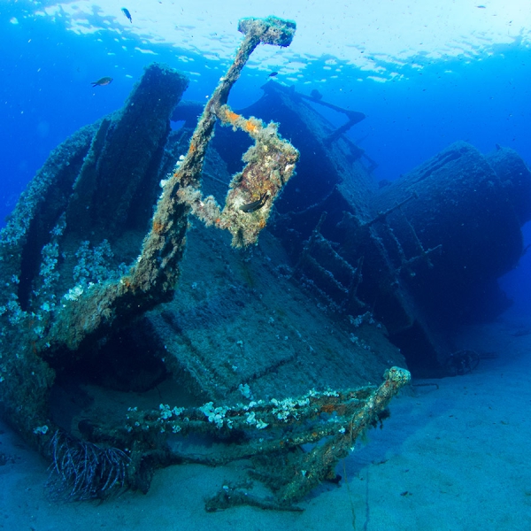 Immersione al Relitto di Pomonte  all'isola d'Elba