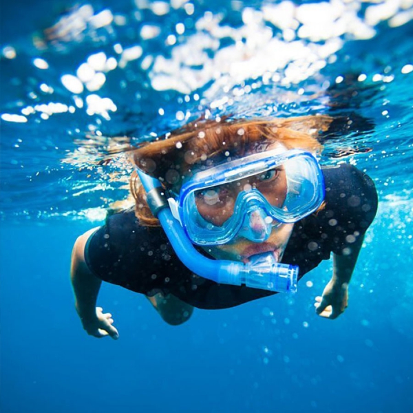 Snorkeling all'isola d'Elba con il nostro Diving Center